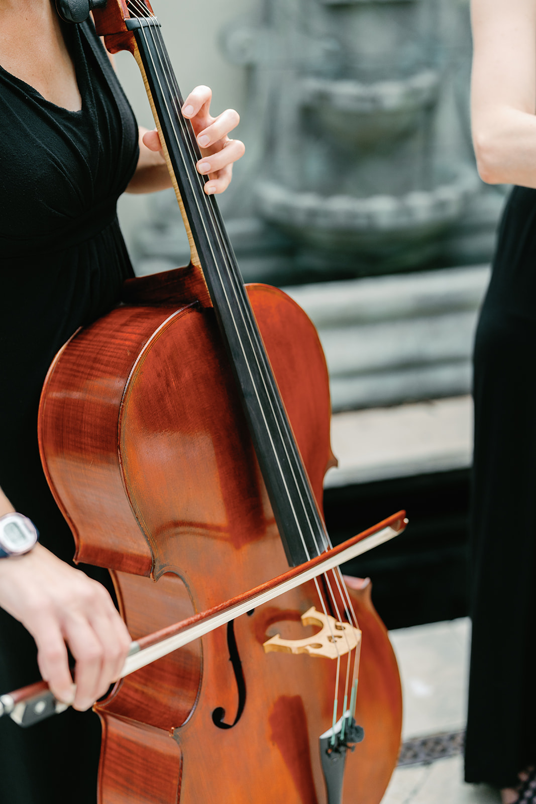 Violin, viola, and cello lessons in Mount Pleasant