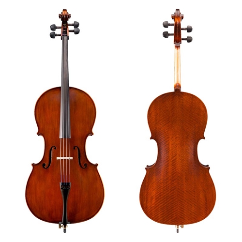 Cello 4/4 Eastman 95 Outfit