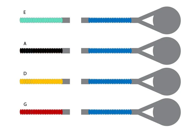Violin D'Addario Prelude Set, 1/4 - 4/4 Sizes