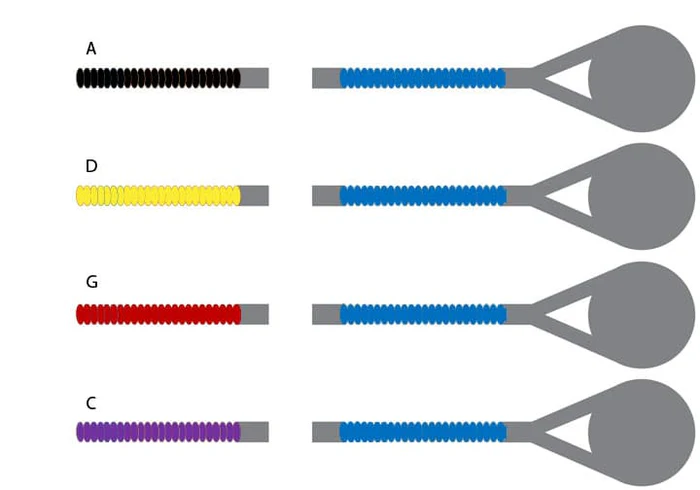 Viola D'Addario Prelude Strings, 12" - 16.5" Set