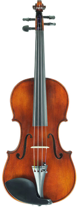 Violin 4/4 Eastman 305 Outfit