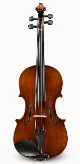 vl401-violin-front